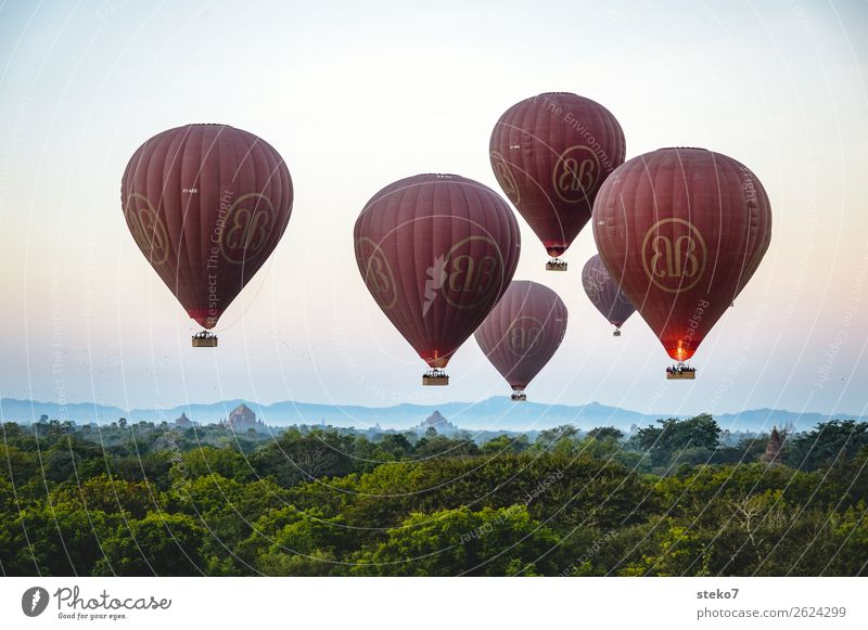 Ballons over Bagan Myanmar Sehenswürdigkeit Ballone fahren fliegen elegant hoch blau braun grün Horizont Schweben Entschleunigung ruhig Schwerelosigkeit