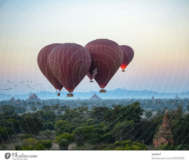 Vögel und Heißluftballons über Bagan Sehenswürdigkeit Wahrzeichen Ballone fahren fliegen exotisch Ferien & Urlaub & Reisen Tourismus träumen Schweben