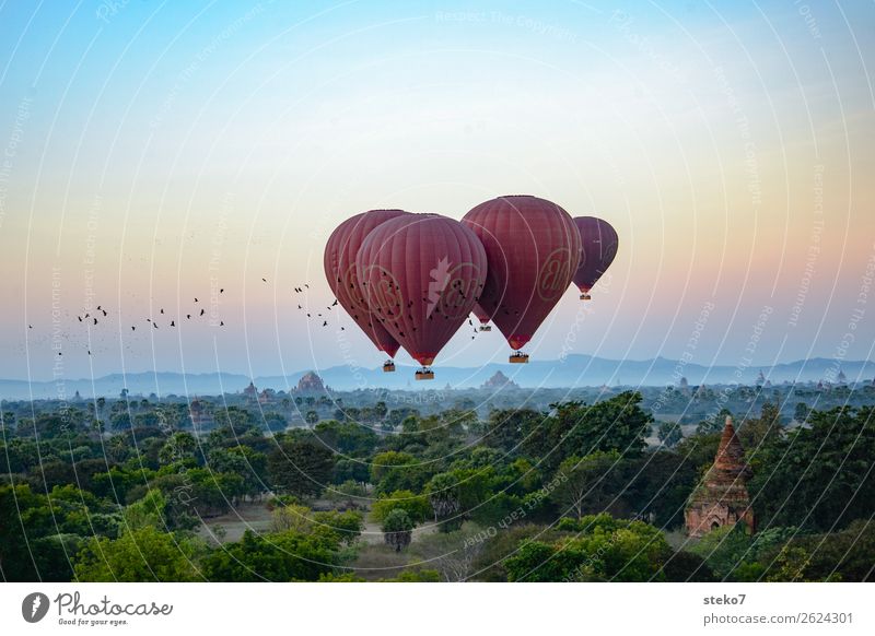 Flying over Bagan Ruine Gebäude Sehenswürdigkeit Pagode Ballone Vogel Schwarm fahren fliegen Erholung Freiheit Leichtigkeit Ferien & Urlaub & Reisen Tourismus