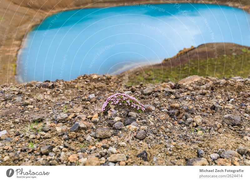 Viti-Krater im geothermischen Gebiet Krafla Island im Sommer Insel Schnee Berge u. Gebirge Natur Landschaft Park Vulkan See blau grün türkis vulkanisch