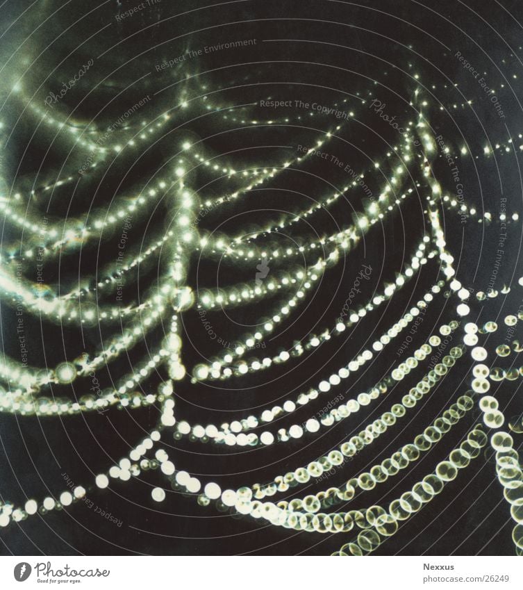 Netzwerk Spinnennetz Lichterkette Regen feucht Nebeltropfen