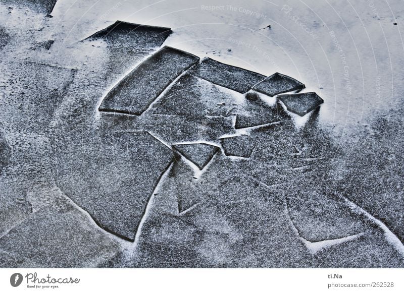 Crushed Ice Wasser Winter Eis Frost Schnee Küste Nordsee frieren dunkel kalt blau schwarz weiß Kraft Klima Farbfoto Gedeckte Farben Außenaufnahme Nahaufnahme