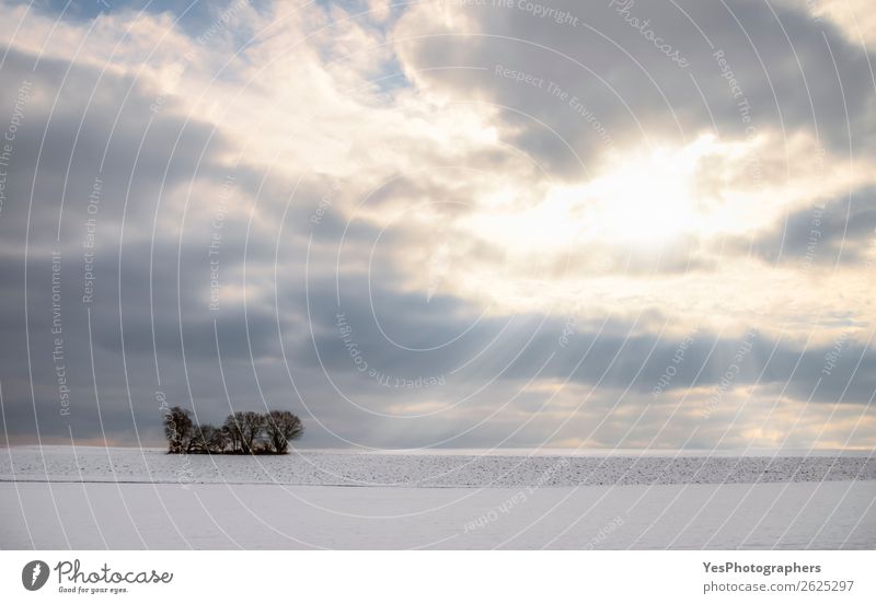 Sonneneinstrahlung durch Wolken und verschneites Feld ruhig Winter Schnee Natur Landschaft Horizont Wetter Baum Wiese Unendlichkeit hell natürlich weiß