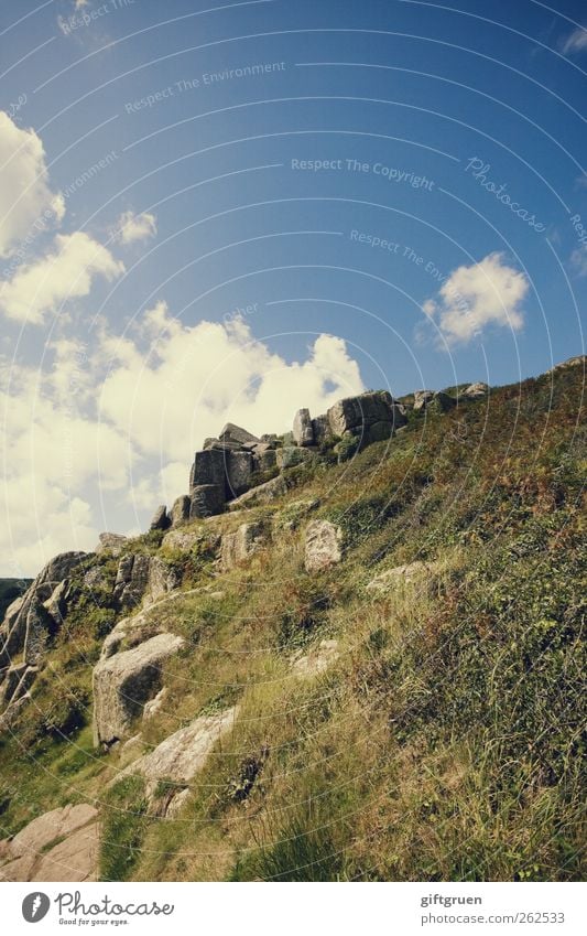 hoch hinaus Umwelt Natur Landschaft Pflanze Himmel Wolken Sommer Herbst Stein steinig Gras Wiese aufsteigen Klettern Felsen Cornwall England Großbritannien