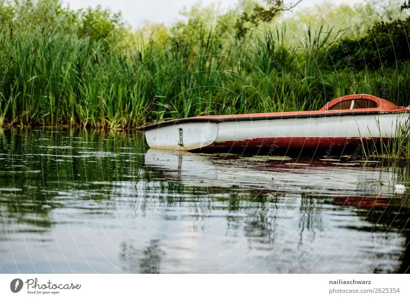 Uecker, altes Boot Bootsfahrt bootfahren bootstour Fluss Flussufer Flußwasser Grünpflanze Grünfläche altes boot Außenaufnahme Wasserfahrzeug Tourismus