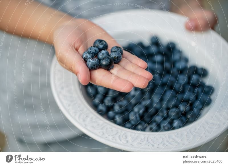 Heidelbeeren Lebensmittel Blaubeeren Beeren Ernährung Bioprodukte Vegetarische Ernährung Diät Teller Schalen & Schüsseln Lifestyle Sommer Landwirtschaft