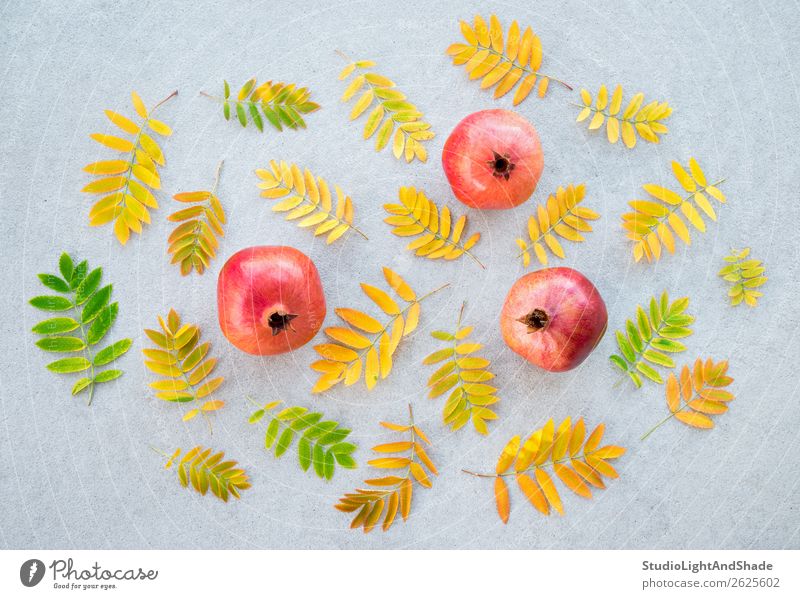 Granatäpfel und bunte Aschebaumblätter Frucht Bioprodukte Vegetarische Ernährung schön Gesunde Ernährung Garten Gartenarbeit Kunst Natur Pflanze Herbst Baum