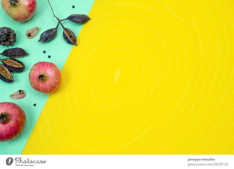 Kreatives Herbst-Layout. Frucht Design Dekoration & Verzierung Tisch Natur Pflanze Blatt Papier einfach oben gelb grün rot Kreativität herbstlich Hintergrund