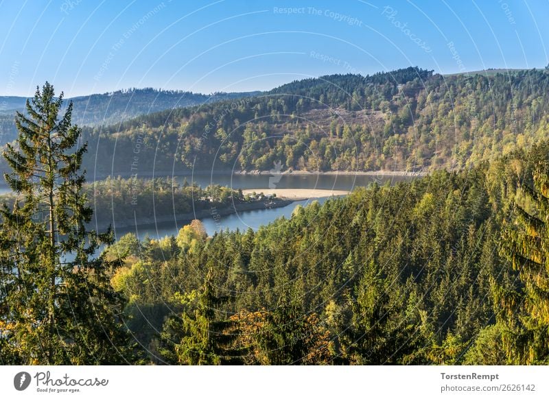 Stausee Hohenwarte Natur Landschaft Wasser Baum See atmen entdecken Erholung blau gelb grün Zufriedenheit Lebensfreude Hohenwarte-Stausee Hohenwartetalsperre
