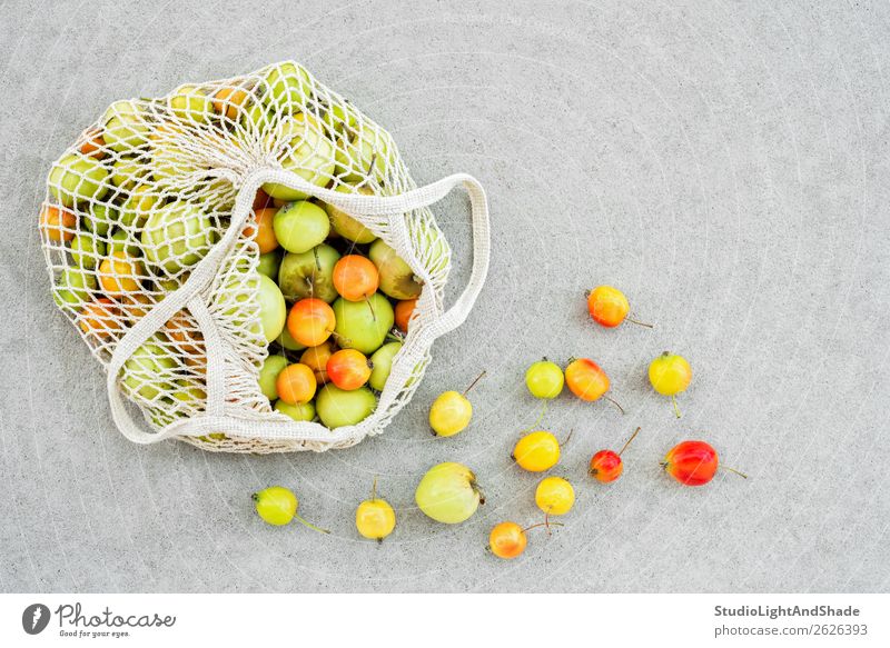 Netzbeutel voller bunter Äpfel aus dem Garten Lebensmittel Frucht Apfel Ernährung Bioprodukte Vegetarische Ernährung kaufen Gesunde Ernährung Sommer
