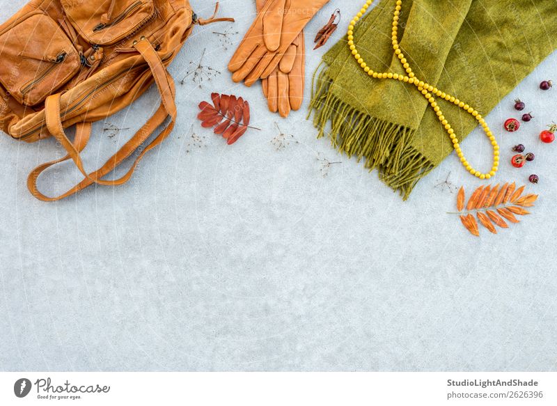 Herbstmode flachliegend in Orange- und Grüntönen Lifestyle kaufen elegant Stil schön Natur Pflanze Wetter Blatt Mode Bekleidung Stoff Leder Accessoire Schmuck
