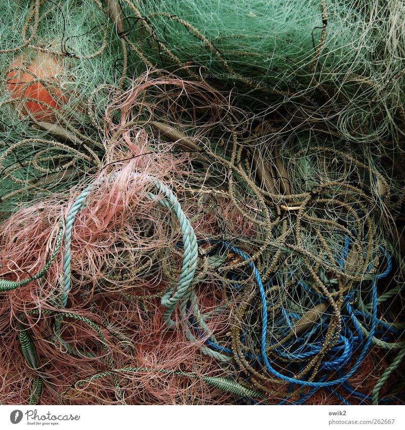 Laufmasche Wirtschaft Fischereiwirtschaft viele verrückt wild mehrfarbig Stress bizarr chaotisch Idylle Konzentration Netzwerk skurril Zusammenhalt
