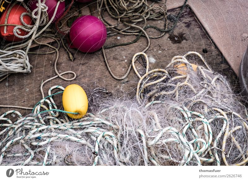 Fischernetz Arbeitsplatz Fischereiwirtschaft Fischerboot Boje Seil einfach gelb violett rot anstrengen Erwartung Idylle nachhaltig Netzwerk Ordnung Umwelt