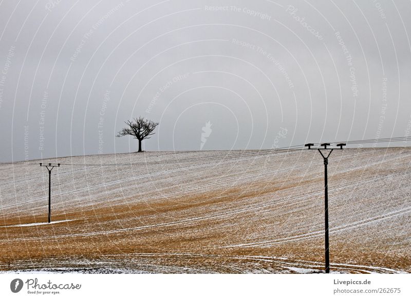 Krakow am See 2 Energiewirtschaft Umwelt Natur Landschaft Winter Wetter Schnee Pflanze Baum Feld Hügel Holz Einsamkeit Farbfoto Außenaufnahme Tag
