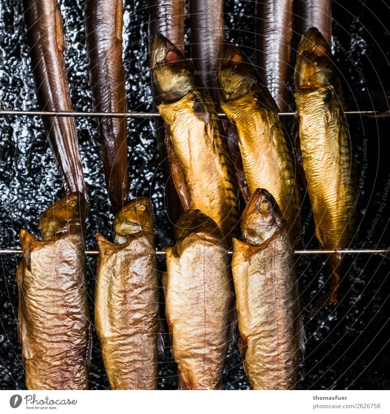 Fischräucherei, Heringe, Räucherofen Räucherfisch Ernährung Mittagessen Bioprodukte nordisch Ferien & Urlaub & Reisen Handel Schwarm Grill Rauchen bizarr Ende