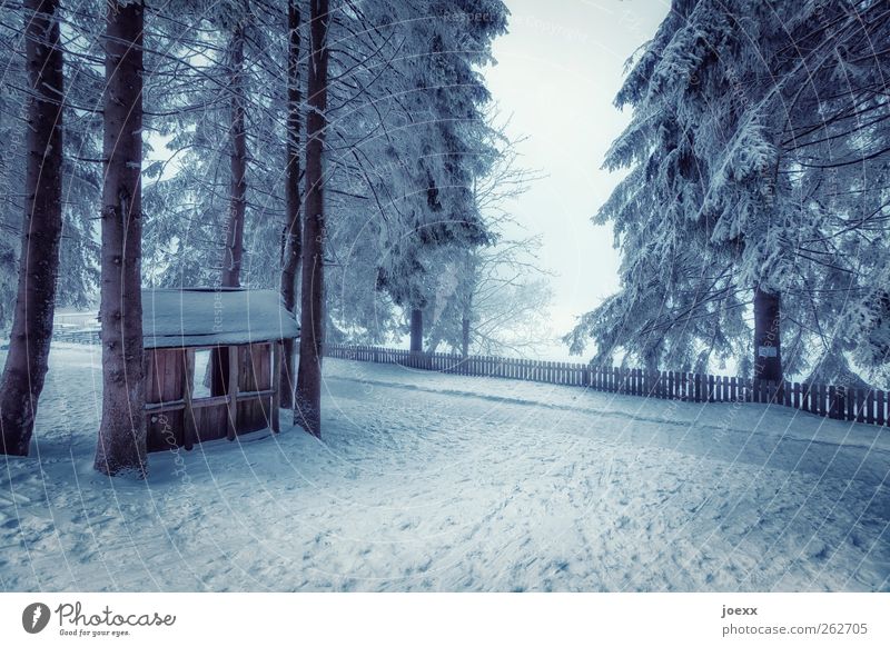 Onkel Tom Natur Winter Nebel Eis Frost Schnee Baum Wald Hütte Wege & Pfade kalt blau schwarz weiß Stimmung ruhig Erholung Idylle Holzhütte Schneelandschaft Zaun