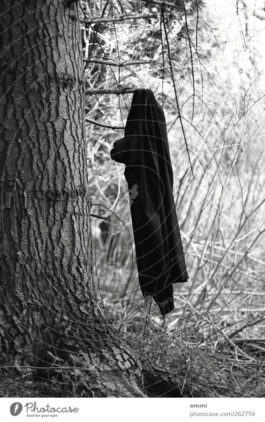 Für Garderobe keine Haftung Baum Jacke Mantel hängen außergewöhnlich einfach schwarz weiß Ast Baumrinde Kleiderhaken Schwarzweißfoto Außenaufnahme Menschenleer