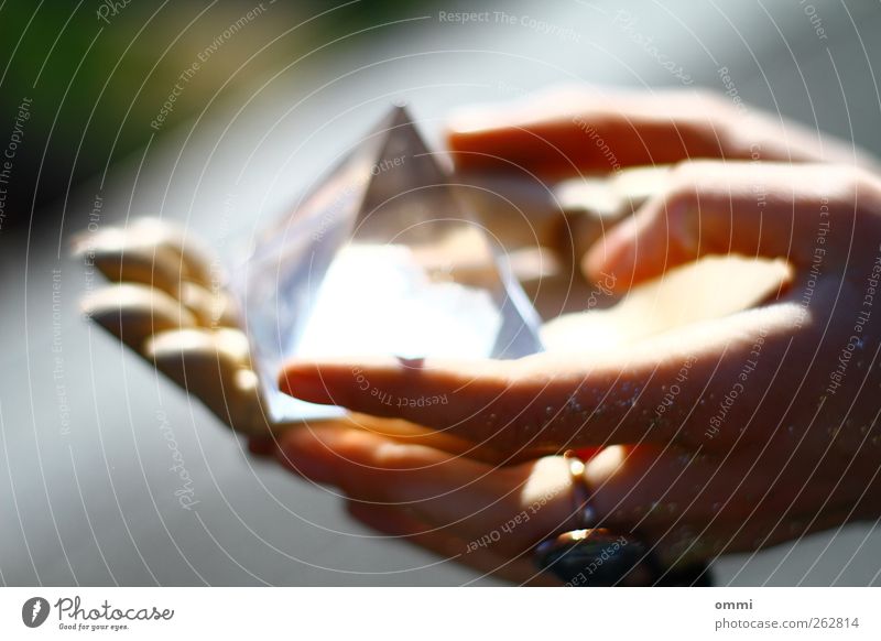 Die Zukunft in Händen II feminin Junge Frau Jugendliche Hand Finger Ring Prisma Holz Glas berühren glänzend leuchten ästhetisch hell nah Wahrsagerei Orakel