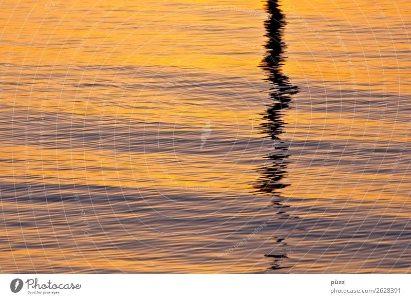 Wellengang Umwelt Natur Urelemente Wasser Sonnenlicht Klima Küste Seeufer Nordsee Ostsee Meer Fluss gold orange schwarz Gefühle Stimmung Traurigkeit Einsamkeit