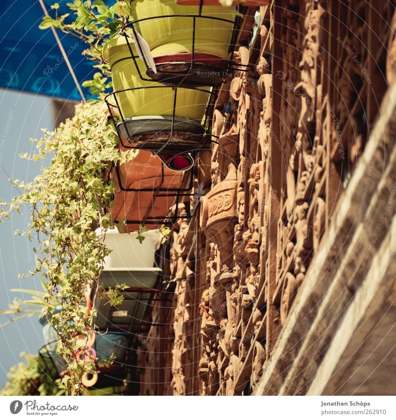 Narbonne VII Ferien & Urlaub & Reisen Tourismus Städtereise Sommer Sommerurlaub Sonne Blumenkasten ornamental Fassade Fassadenverkleidung Blumentopf