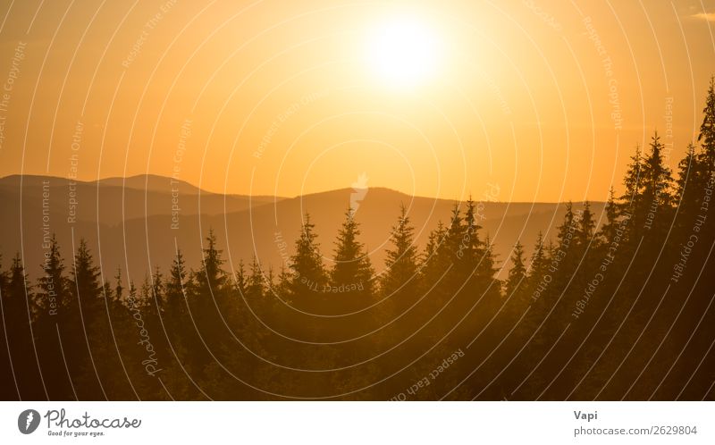Panorama des Sonnenuntergangs in den Bergen schön Ferien & Urlaub & Reisen Tourismus Ferne Sommer Berge u. Gebirge Umwelt Natur Landschaft Himmel