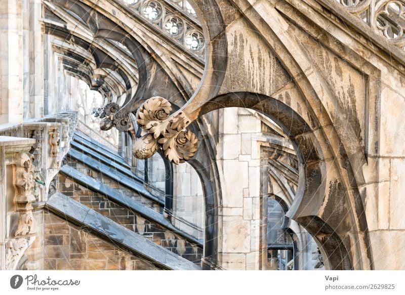 Architektur auf dem Dach der gotischen Domkirche des Doms schön Ferien & Urlaub & Reisen Tourismus Sightseeing Städtereise Dekoration & Verzierung Kunst