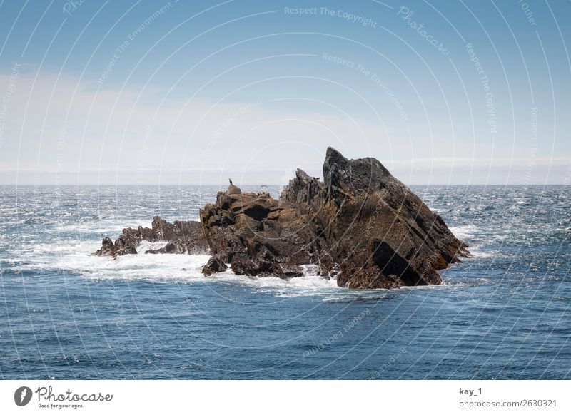 Felseninsel Wellen Meer Insel fest Kraft Macht Sicherheit Abenteuer Horizont Natur Republik Irland Farbfoto Außenaufnahme Menschenleer Textfreiraum oben