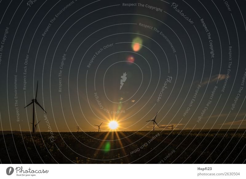 Sonnenaufgang bei den Windrädern Energiewirtschaft Maschine Motor Technik & Technologie Erneuerbare Energie Windkraftanlage Energiekrise Umwelt Natur Landschaft