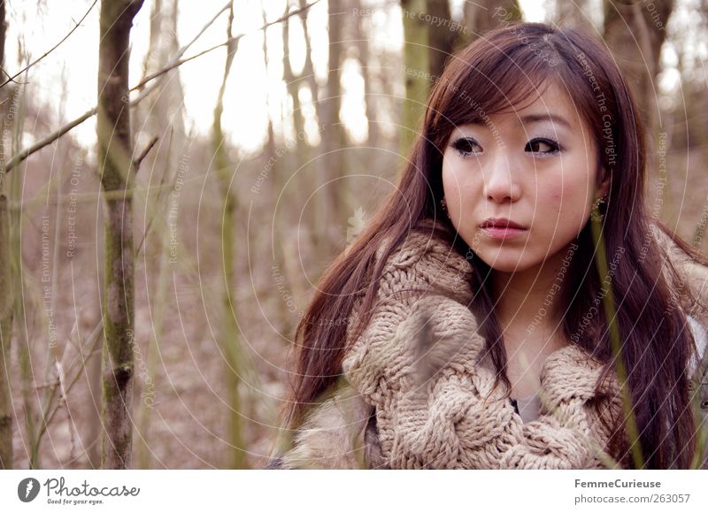 Girl lost in the woods. V feminin Junge Frau Jugendliche Erwachsene Kopf Gesicht 1 Mensch 18-30 Jahre Natur Baum Wald brünett langhaarig Asiate Asien Chinese