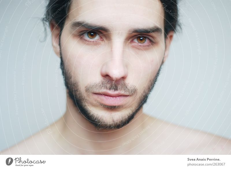 rein. schön Körperpflege Haut Gesicht Gesundheit maskulin Junger Mann Jugendliche Erwachsene 1 Mensch 18-30 Jahre Haare & Frisuren brünett Dreitagebart