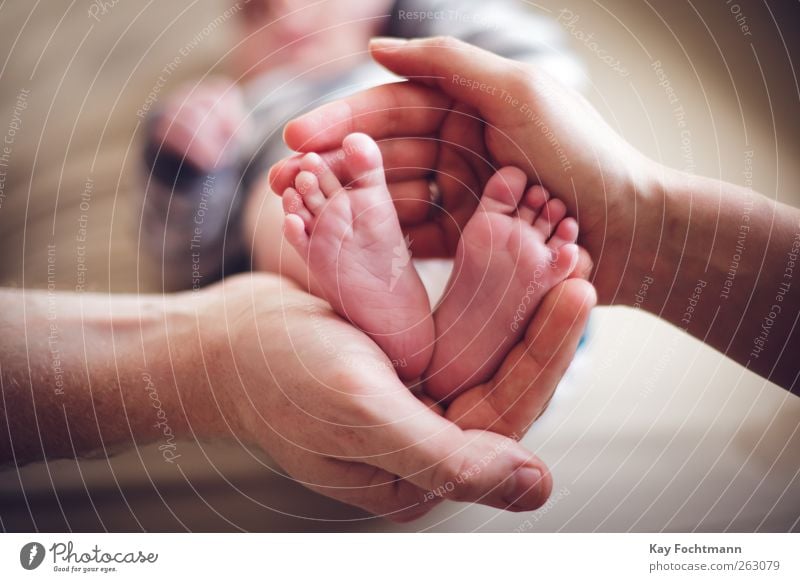 :) Freude Glück Gesundheit harmonisch Wohlgefühl Zufriedenheit Erholung Wohnung Mensch maskulin Baby Hand Finger Fuß Zehen 2 0-12 Monate Ring berühren