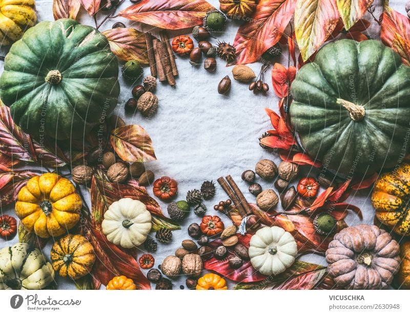 Herbst Stillleben mit Kürbisse, Nüsse und Herbstlaub Gemüse Lifestyle kaufen Design Dekoration & Verzierung Ornament Hintergrundbild Verschiedenheit herbstlich