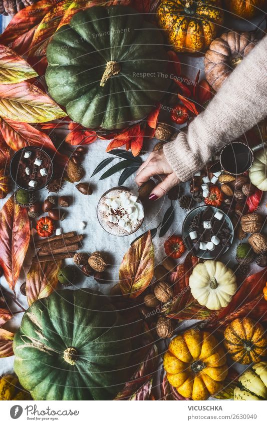 Herbst Stilleben mit Kürbisen und heiße Schokolade Dessert Getränk Heißgetränk Kakao Lifestyle Design Häusliches Leben Wohnung Traumhaus Dekoration & Verzierung