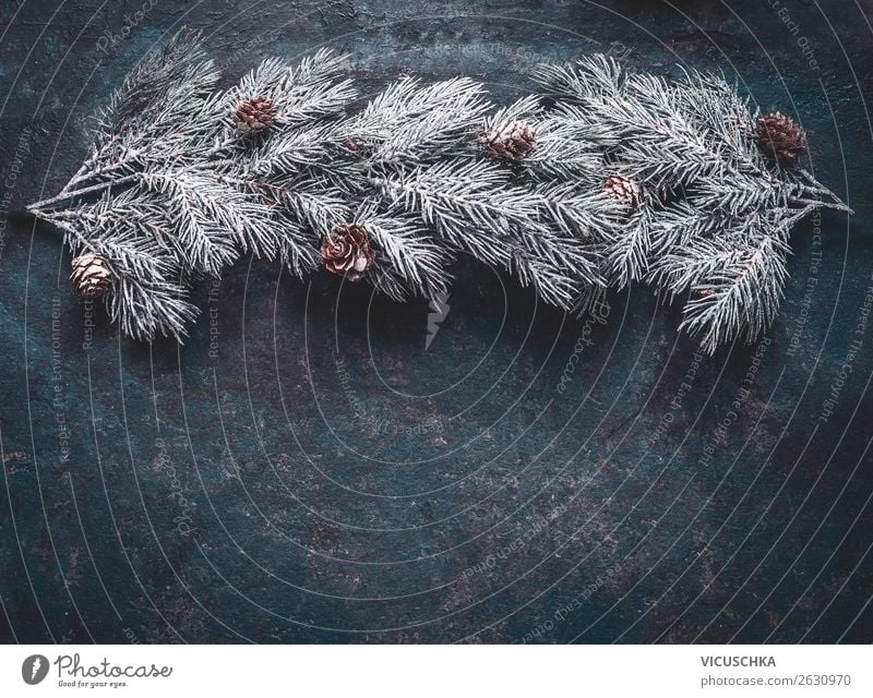 Winter Hintergrund mit Tannenzweige , Reif und Zapfen Stil Design Dekoration & Verzierung Weihnachten & Advent Natur Ornament retro Hintergrundbild altehrwürdig