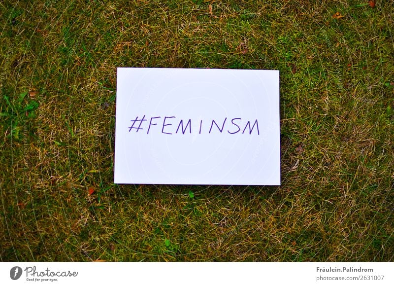 Feminismus Medien Neue Medien Internet Natur Erde Gras Moos Garten Park Wiese Stimmung Gerechtigkeit Fairness Zufriedenheit Erfolg Gesellschaft (Soziologie)