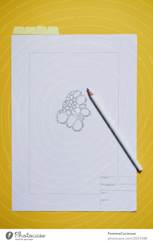 Drawing: Cells from the vascular bundle of a dicotyledonous stem Natur Bildung Biologie Schulunterricht Zeichnung Schule Bleistift gelb Schreibwaren Papier