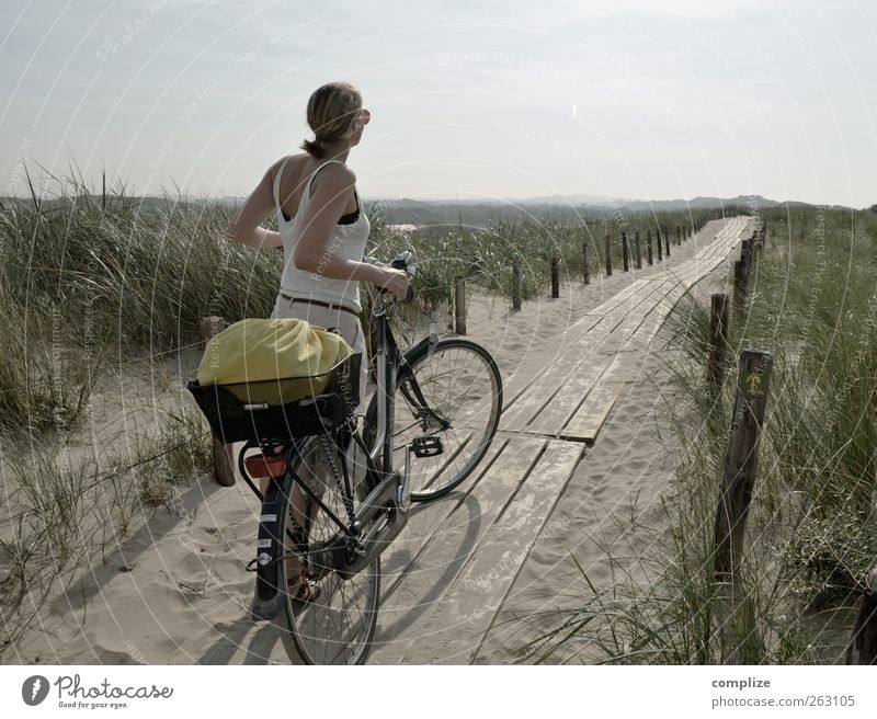 de duinen Ferien & Urlaub & Reisen Tourismus Ausflug Ferne Fahrradtour Sommer Junge Frau Jugendliche Erwachsene 1 Mensch Küste Nordsee Niederlande Dünengras