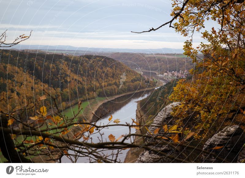 Blick auf die Elbe Elbsandsteingebirge Sachsen Deutschland Herbst touristische Region Natur Sächsische Schweiz Landschaft Felsen Berge u. Gebirge