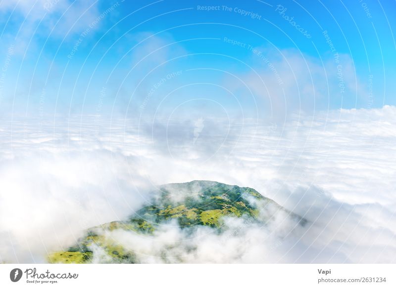 Grüner Berggipfel in weißen Wolken Ferien & Urlaub & Reisen Tourismus Abenteuer Ferne Berge u. Gebirge Klettern Bergsteigen Natur Landschaft Himmel Nebel Gras