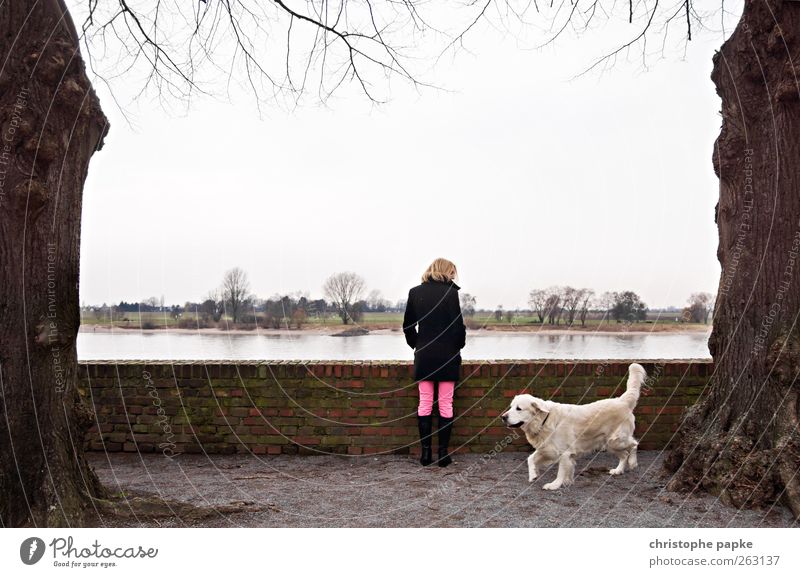 Rheinblick mit Wauzi Sightseeing feminin 1 Mensch Himmel Wolkenloser Himmel Baum Flussufer Hund Tier Blick stehen blond Unendlichkeit Einsamkeit Ferne