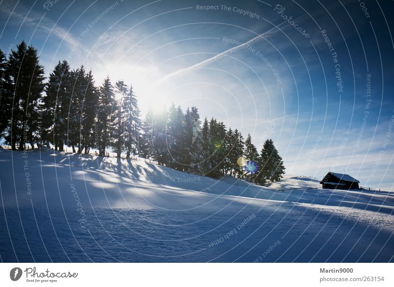 Wintersonne Sonne Schnee Winterurlaub Berge u. Gebirge wandern Umwelt Natur Landschaft Horizont Sonnenlicht Schönes Wetter Feld Wald frisch hell blau