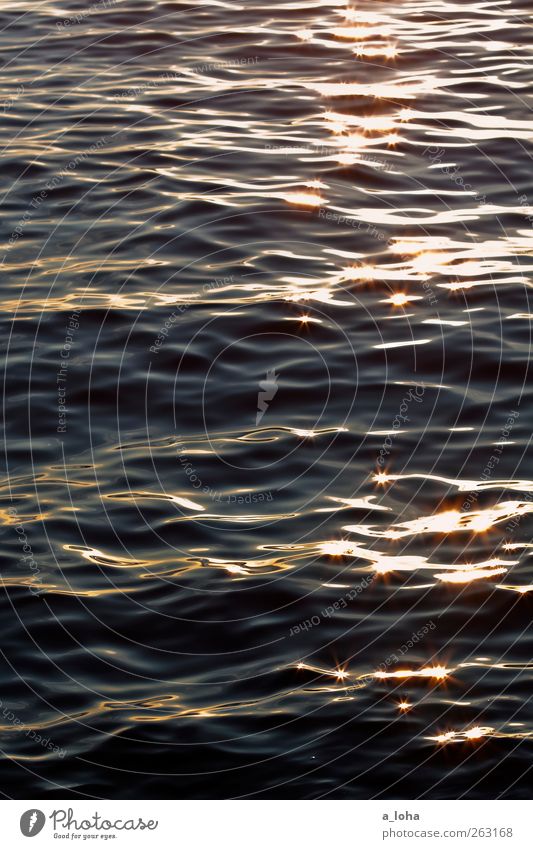 weißt du wieviel sternlein stehen Natur Urelemente Wasser Sonne Wellen Meer Linie glänzend leuchten Flüssigkeit ästhetisch Stern (Symbol) Reflexion & Spiegelung