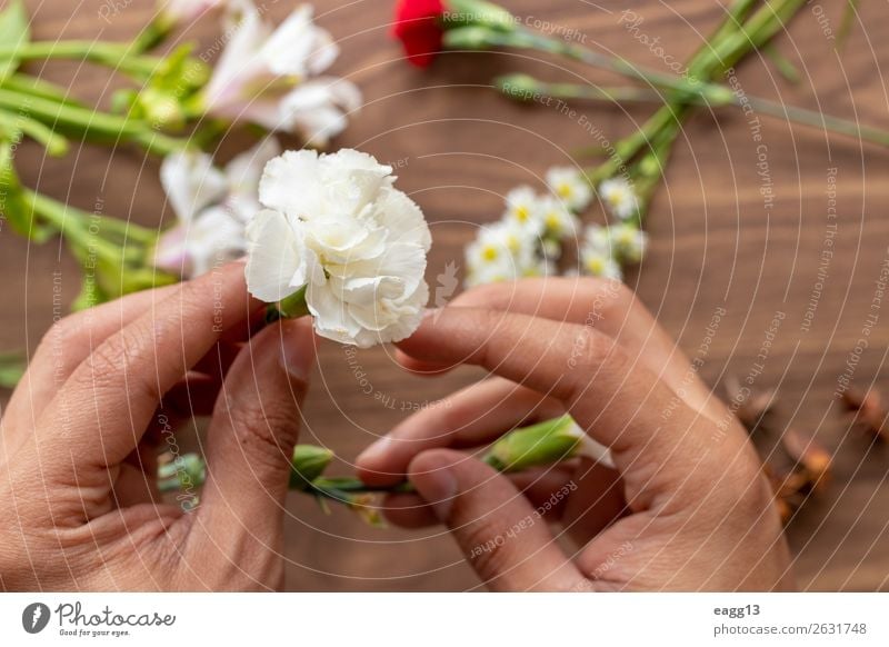 Blumen mit den Händen halten Stil schön Garten Dekoration & Verzierung Tisch Arbeit & Erwerbstätigkeit Gartenarbeit Mensch Hand Natur Pflanze Frühling Rose