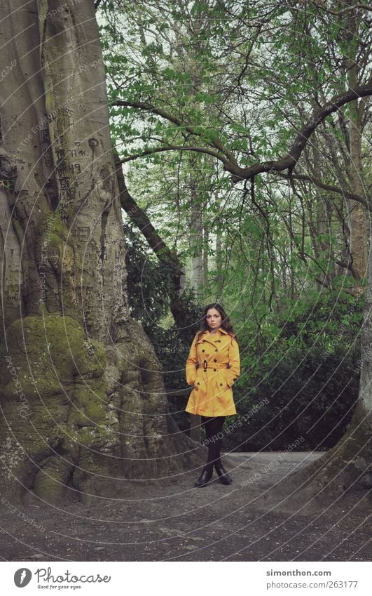 mantel 1 Mensch gelb Mantel Model Regenmantel Park Wald Natur Spaziergang Spazierweg Farbfoto