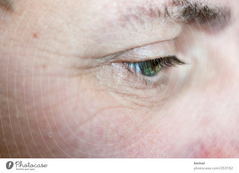 Häuptling Hübsche Wimper Mensch maskulin Erwachsene Leben Haut Auge Wimpern Augenbraue 1 45-60 Jahre lesen Blick grün Farbfoto Gedeckte Farben Innenaufnahme