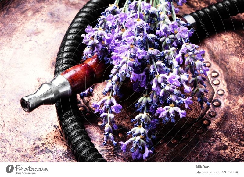 Asiatische Tabakshisha mit Lavendelaroma Wasserpfeifenrauch Blume Rauch Kräuterbuch geblümt Shisha rauchen Blatt trocknen Mundstück Erholung