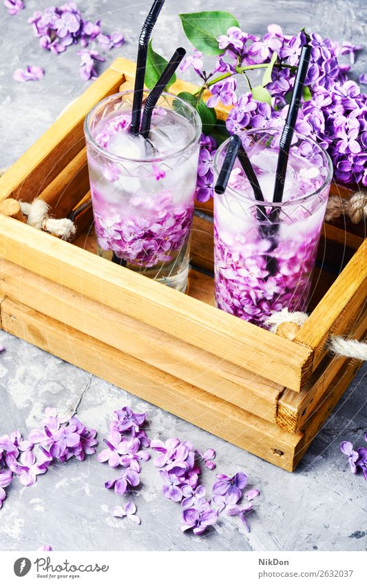 Erfrischungsgetränk mit Flieder und Eis trinken Glas Fliederbusch Cocktail Getränk Blume Saft kalt Wasser Sommer Bar Gesundheit natürlich violett cool liquide