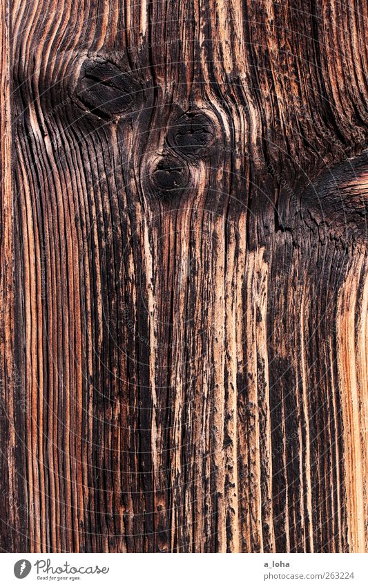 wooden Holz Linie Streifen alt dunkel fest braun schwarz verbrannt Maserung Ast trocken Farbfoto Außenaufnahme Nahaufnahme Detailaufnahme abstrakt Muster