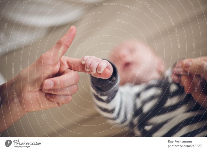 ° Leben harmonisch Wohlgefühl Zufriedenheit Mensch Baby Hand Finger 2 0-12 Monate berühren festhalten liegen schlafen niedlich Vertrauen Sicherheit Schutz