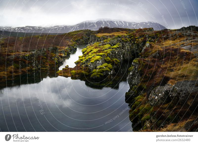 #Island der Spiegel der Natur Landschaft Pflanze Erde Wasser Himmel Wolken Herbst Schönes Wetter Schnee Moos Felsen Schneebedeckte Gipfel Bucht Stein Erholung